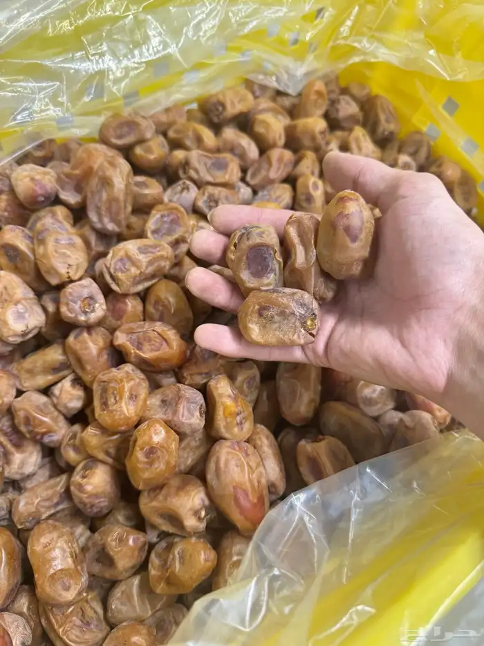 تمر خلاص اشيقر فله 0