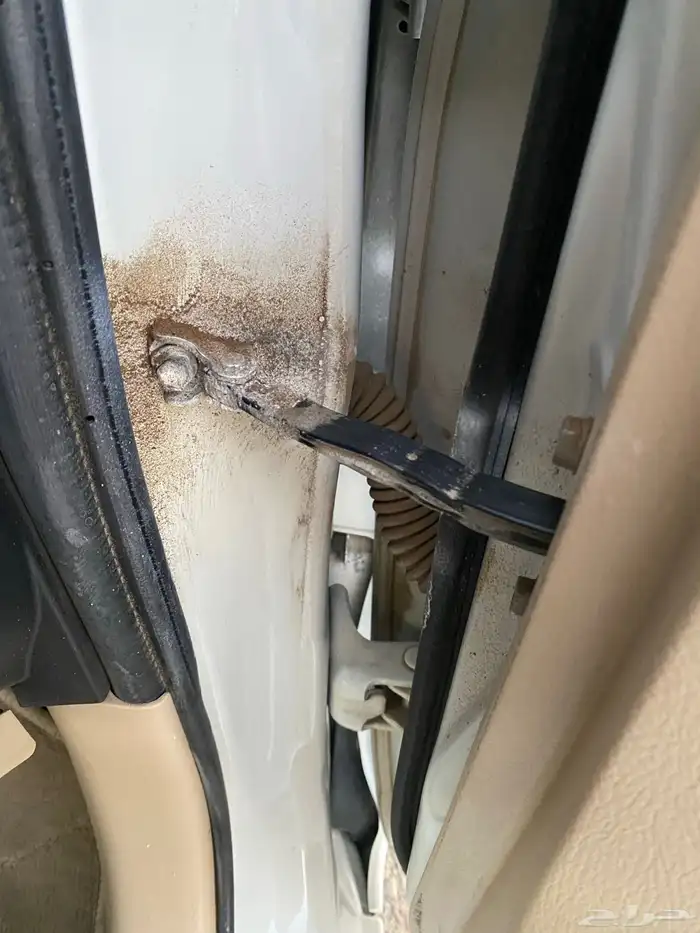 يارس وكاله 2019 29