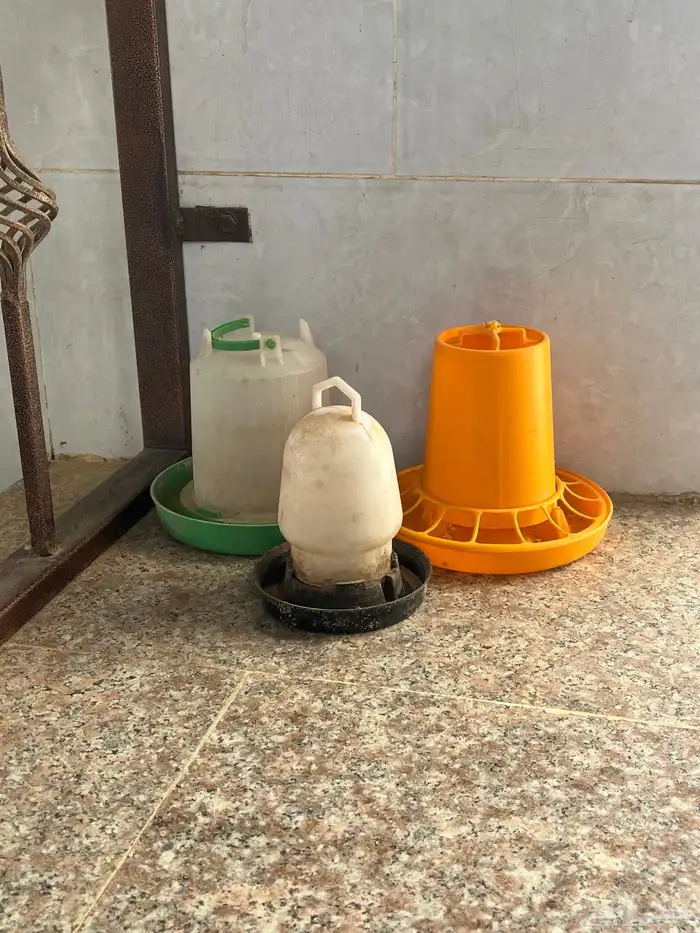 فقاسة بيض 98 5