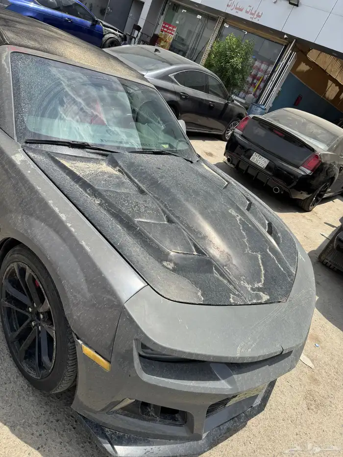 للبيع قطع كمارو صدام و اسطبات و كبوت من 2010 الى 2013 1
