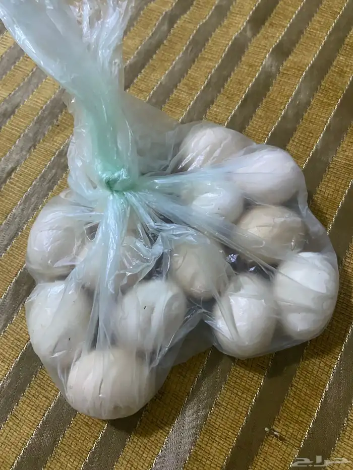 بيض بلدي 0