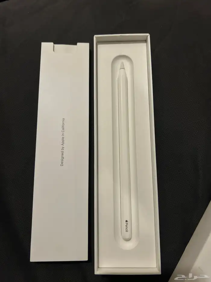 قلم Apple 1
