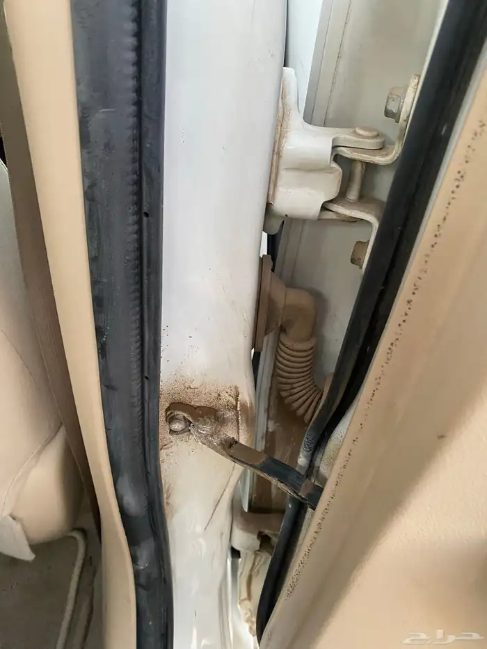 يارس وكاله 2019 23