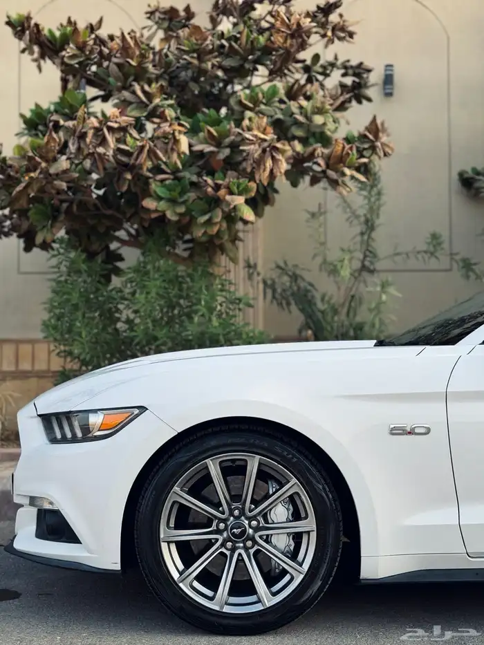فورد موستنج GT V8 2015 قير عادي 6