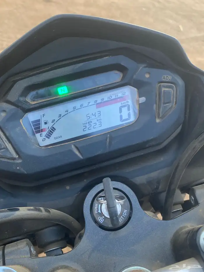 دباب صحراوي 1