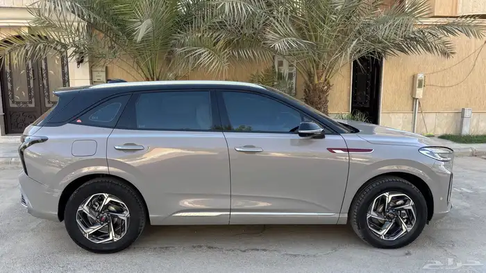 فاو هونشي HS3 2024 للبيع 3