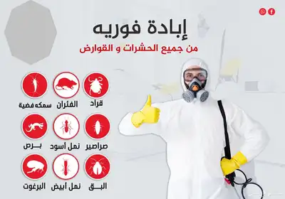 شركة مكافحة حشرات رش صراصير وبق وعقارب بالمدينة المنورة index