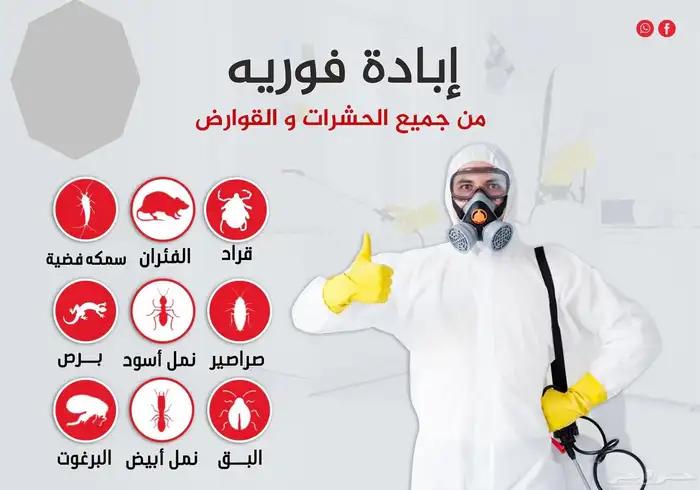 شركة مكافحة حشرات رش صراصير وبق وعقارب بالمدينة المنورة 0