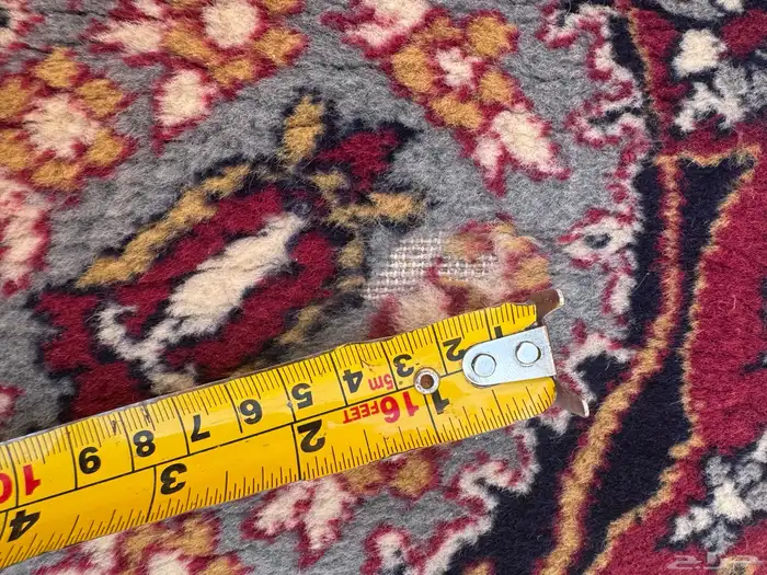 زل بلجيكي 5