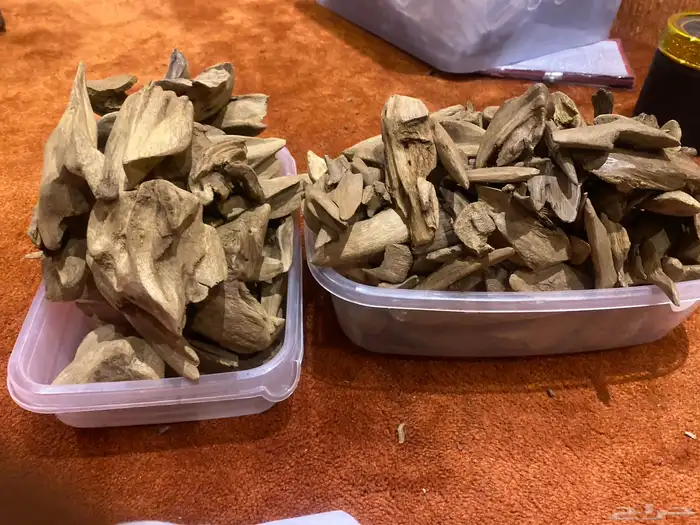 عود مروكي اصقون 0