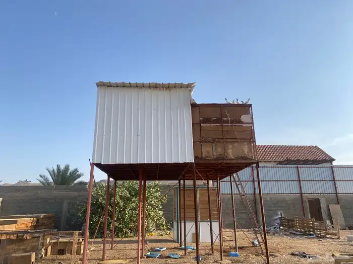 حمام باكستاني من 600 ل 700 حاب ابيعه بالشبك جمله 3