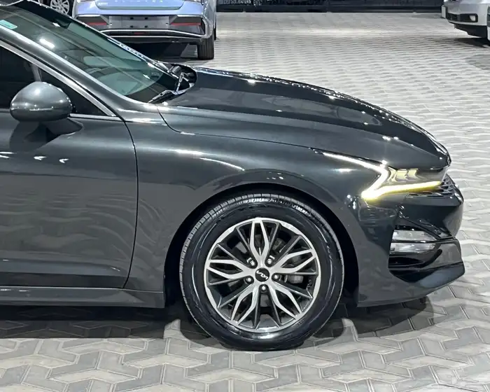 كيا 2022 K5( قمه بالنظافه ) 7