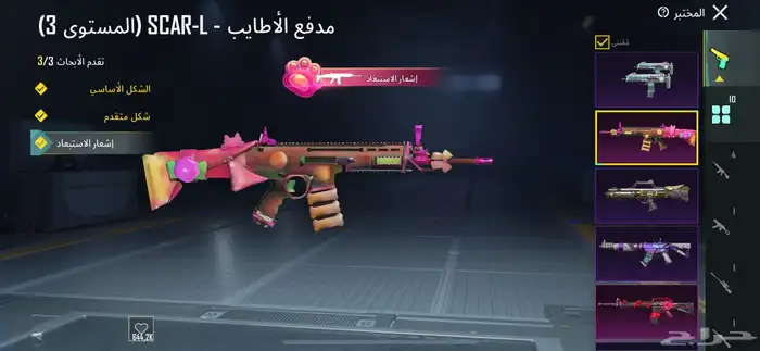 حساب ببجي نادر 12