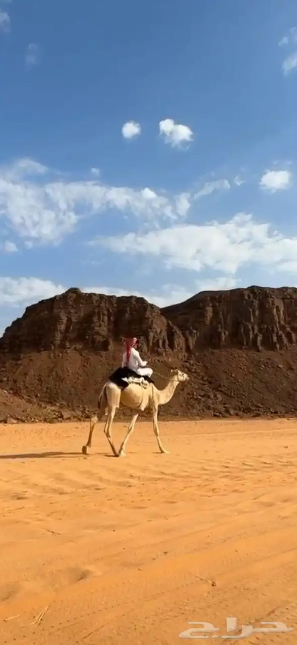 قعود ركبي مطبع 0