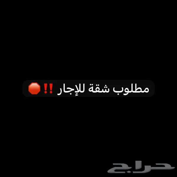 مطلوب شقة للاجار 0