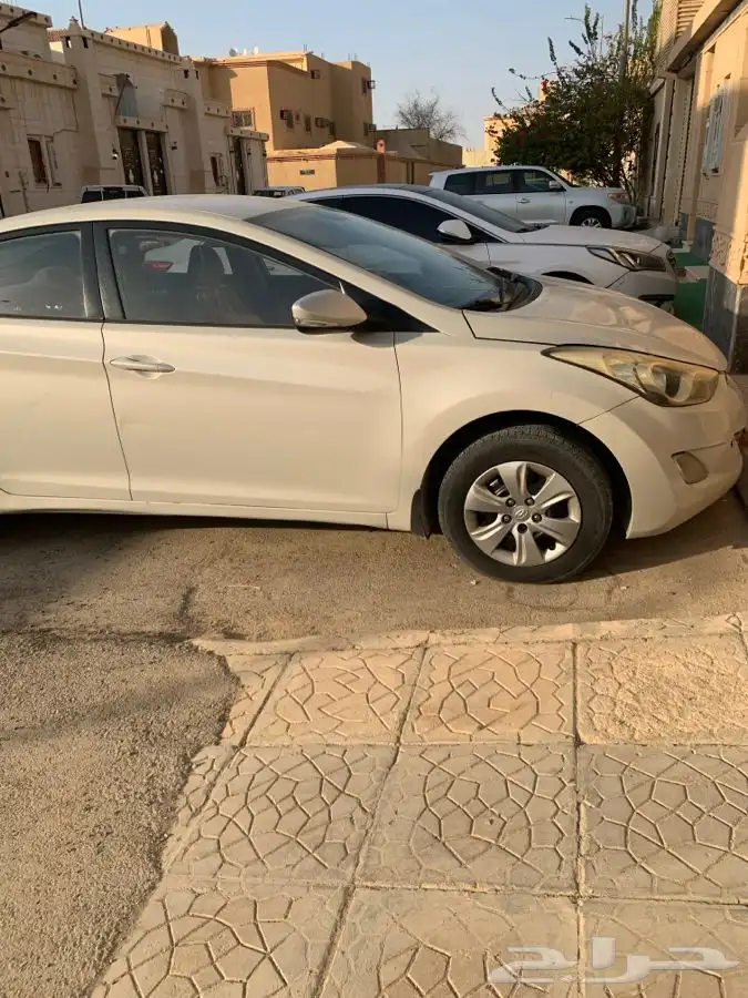 النترا 2013 5