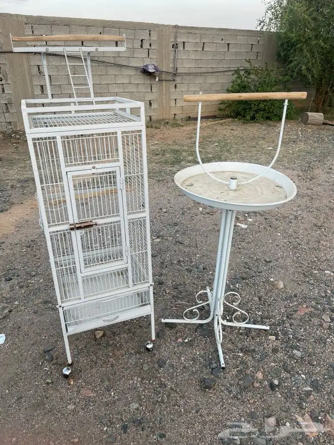 قفص ببغاء   ستاند ببغاء 3