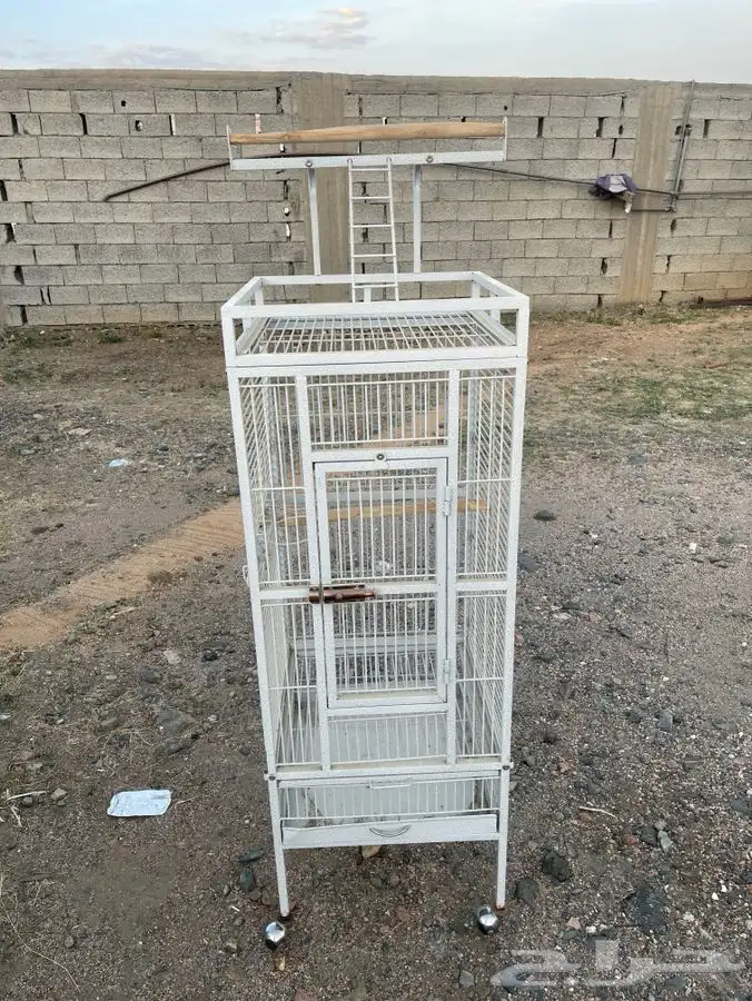 قفص ببغاء   ستاند ببغاء 0