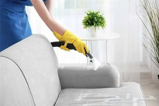 شركه مكافحة حشرات تنظيف مجالس سجاد غسيل مكيفات رش مبيدات 3