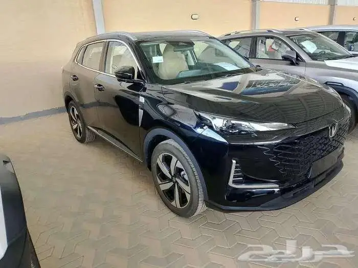 شانجان يوني اس 2