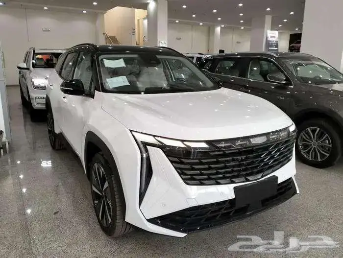 جيلي ستارراي GF 2024 بلس فل كامل 0