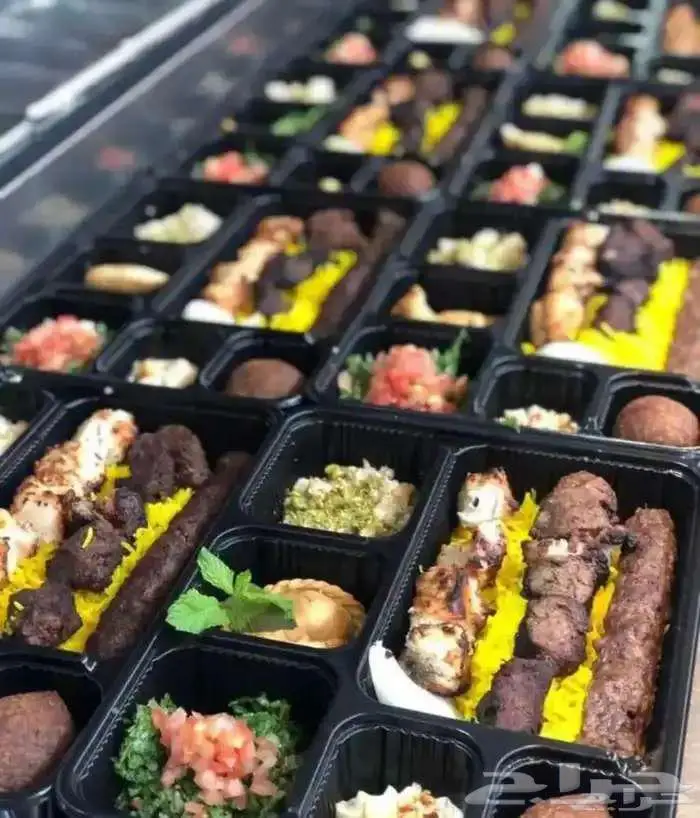 خدمات اعاشة وكاترين كامبات مواقع وشركات 0