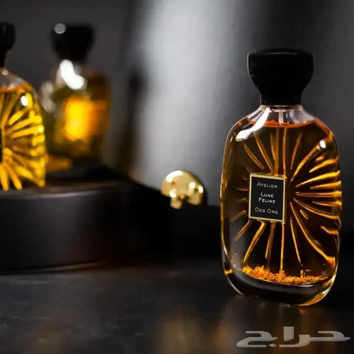 جميع العطور العالميه بسعر الجمله 5