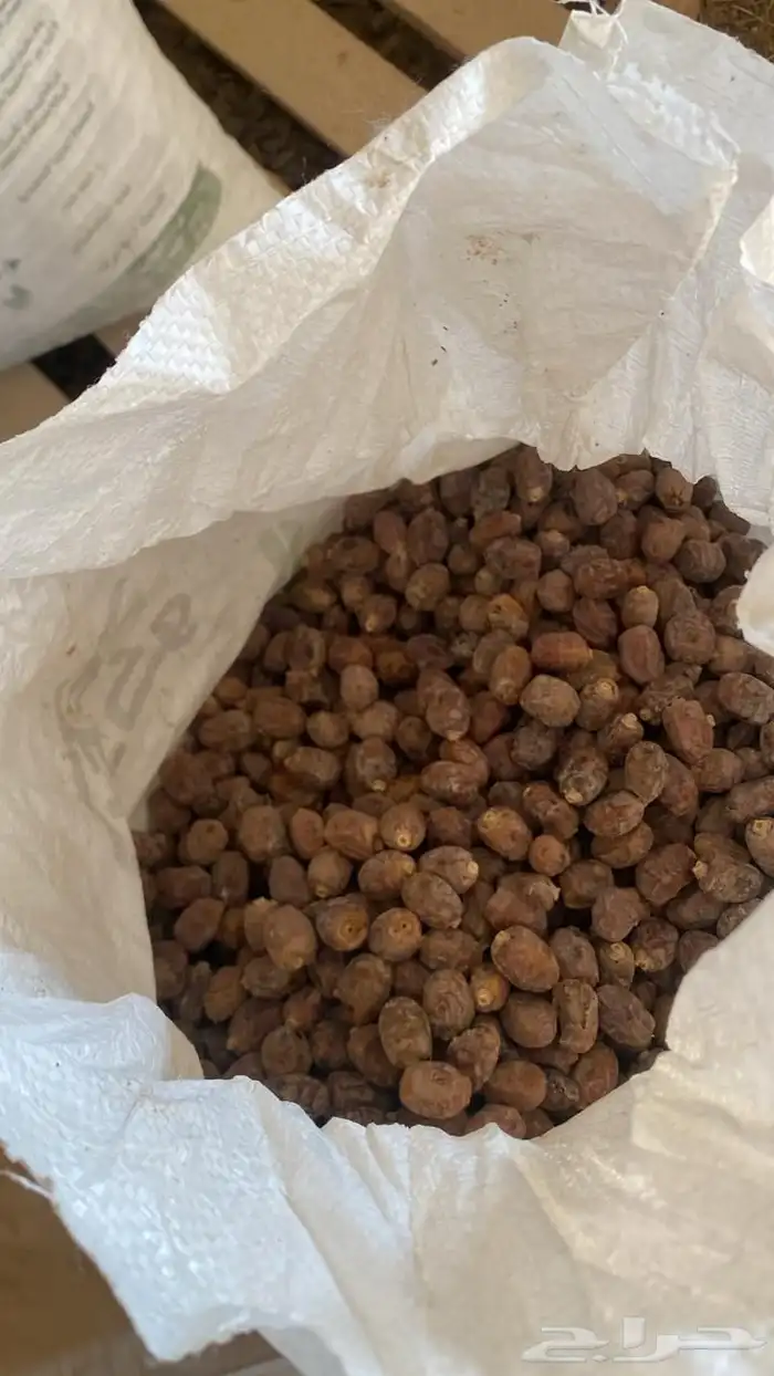 تمر علف 0