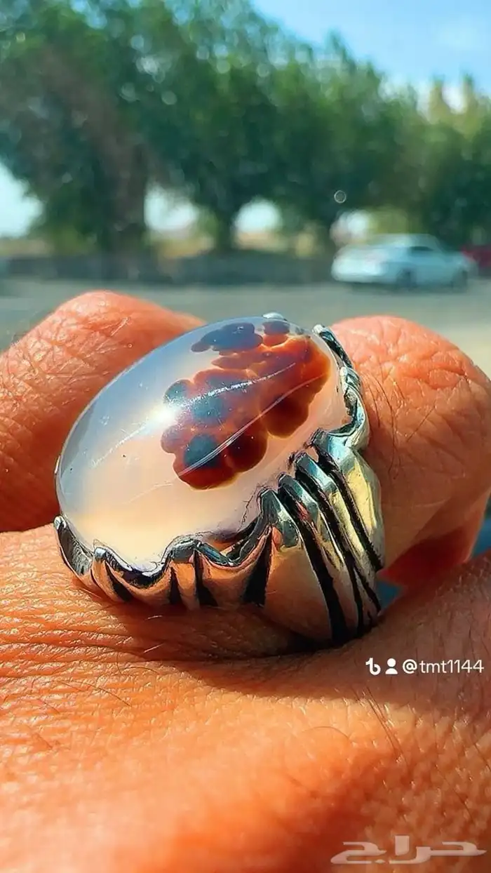 نوادر العقيق 29