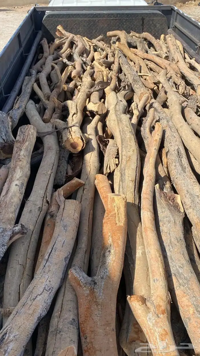 عنيزه 2