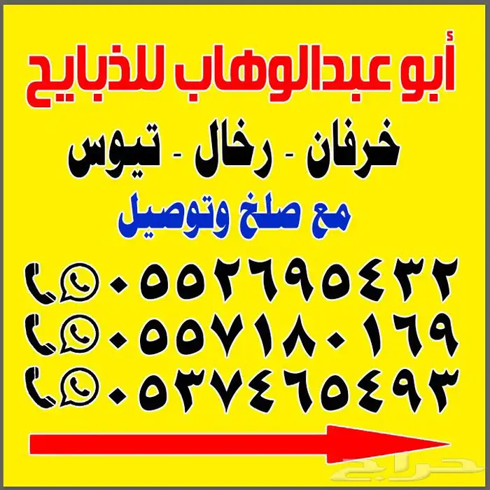 ذبايح مع السلخ والتوصيل من غنم شهران 12