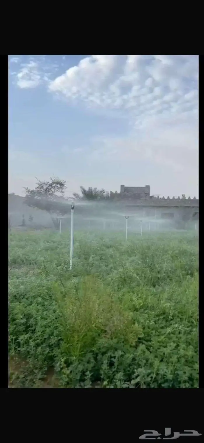 مزرعة للبيع في الخرج العفجة 1