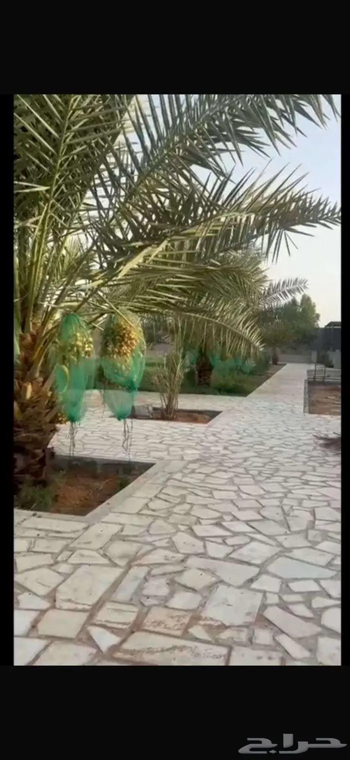 مزرعة للبيع في الخرج العفجة 4