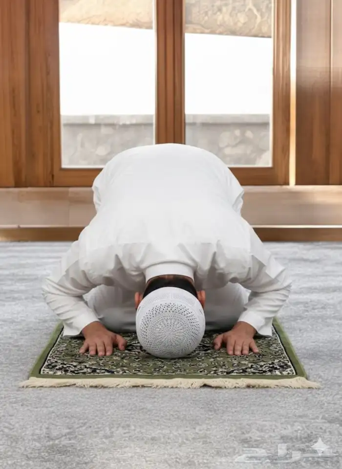 سجادة الروضة الشريفة 3