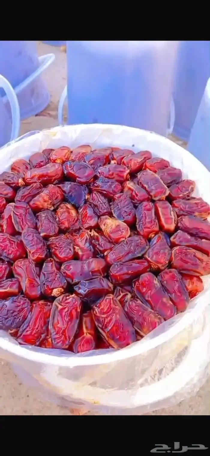 تمر بيض فاخر 0