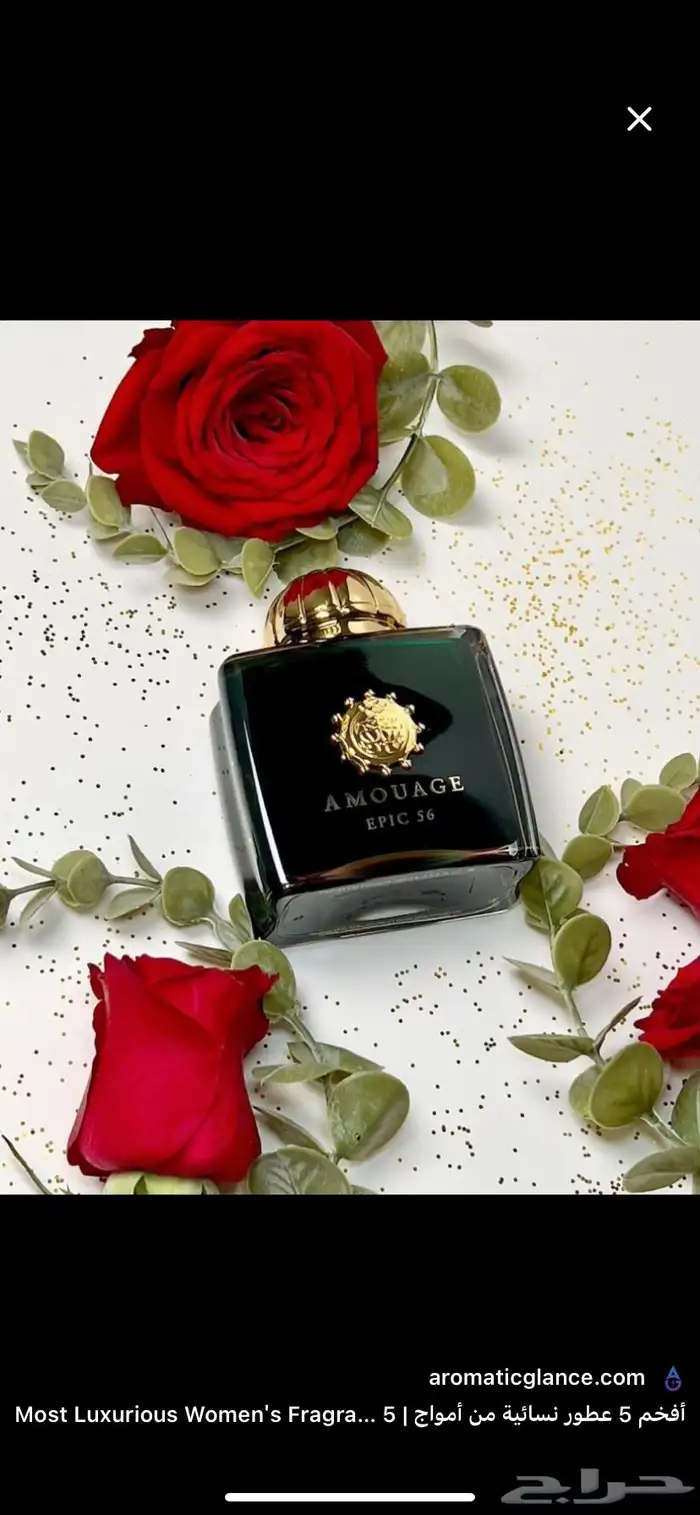 جميع العطور العالميه بسعر الجمله 10