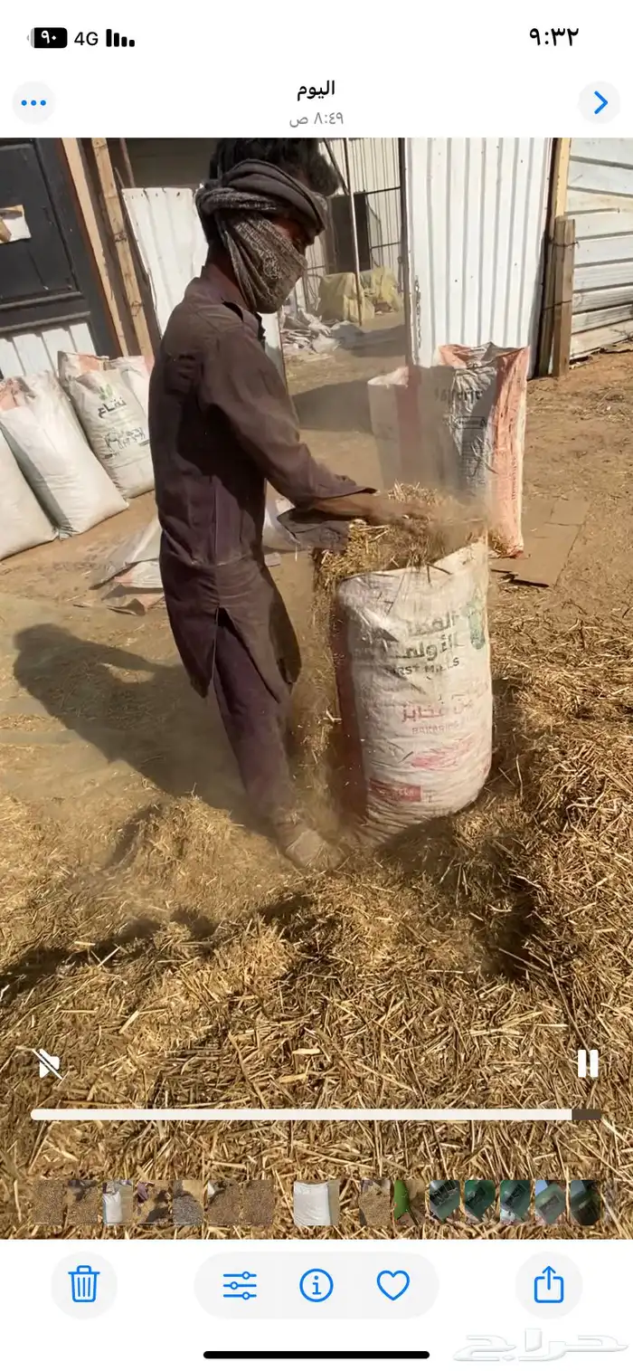 تبن مطحون ممطوركيس مليان الموقع بريدة 8