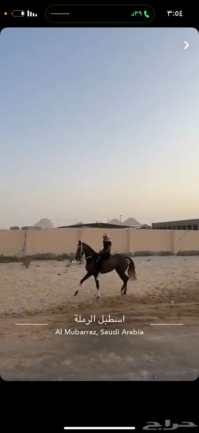 خيل 3