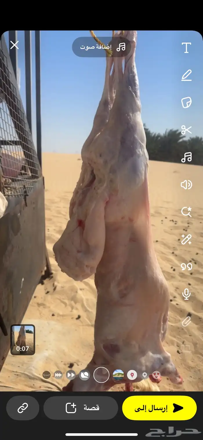 حري 3