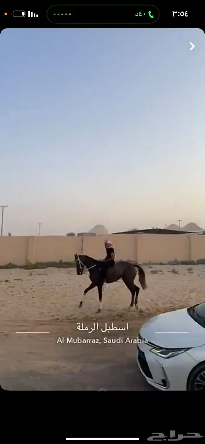خيل 1