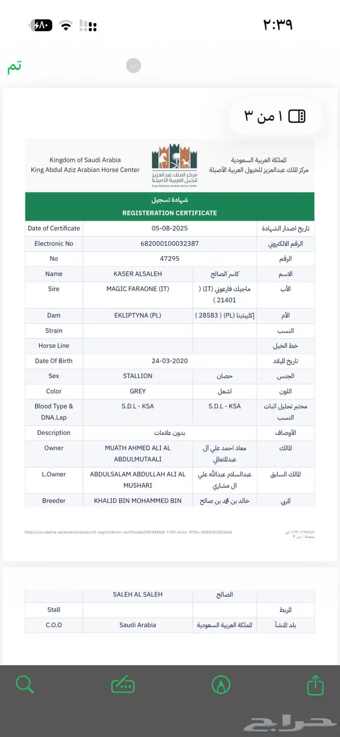 حصان عربي واهو 2