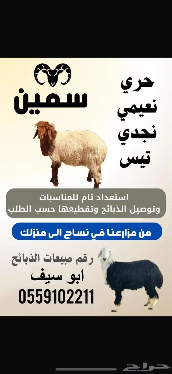 ذبائح للبيع الرياض 0