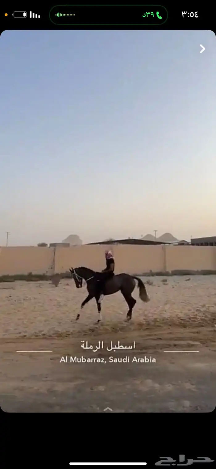 خيل 2
