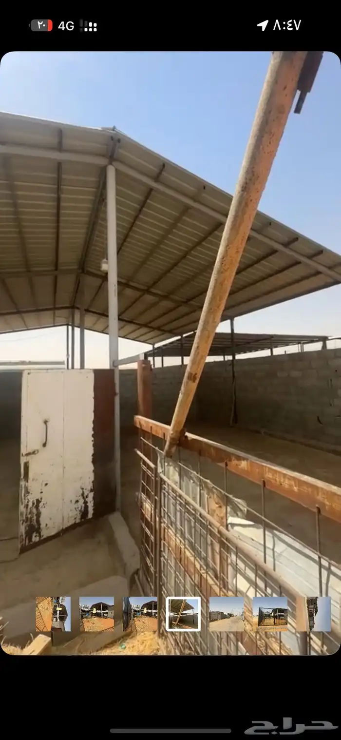 شبك غنم مقسوم قسمين وممتاز جدا  وباقي الشرح عند التواصل خاص 5