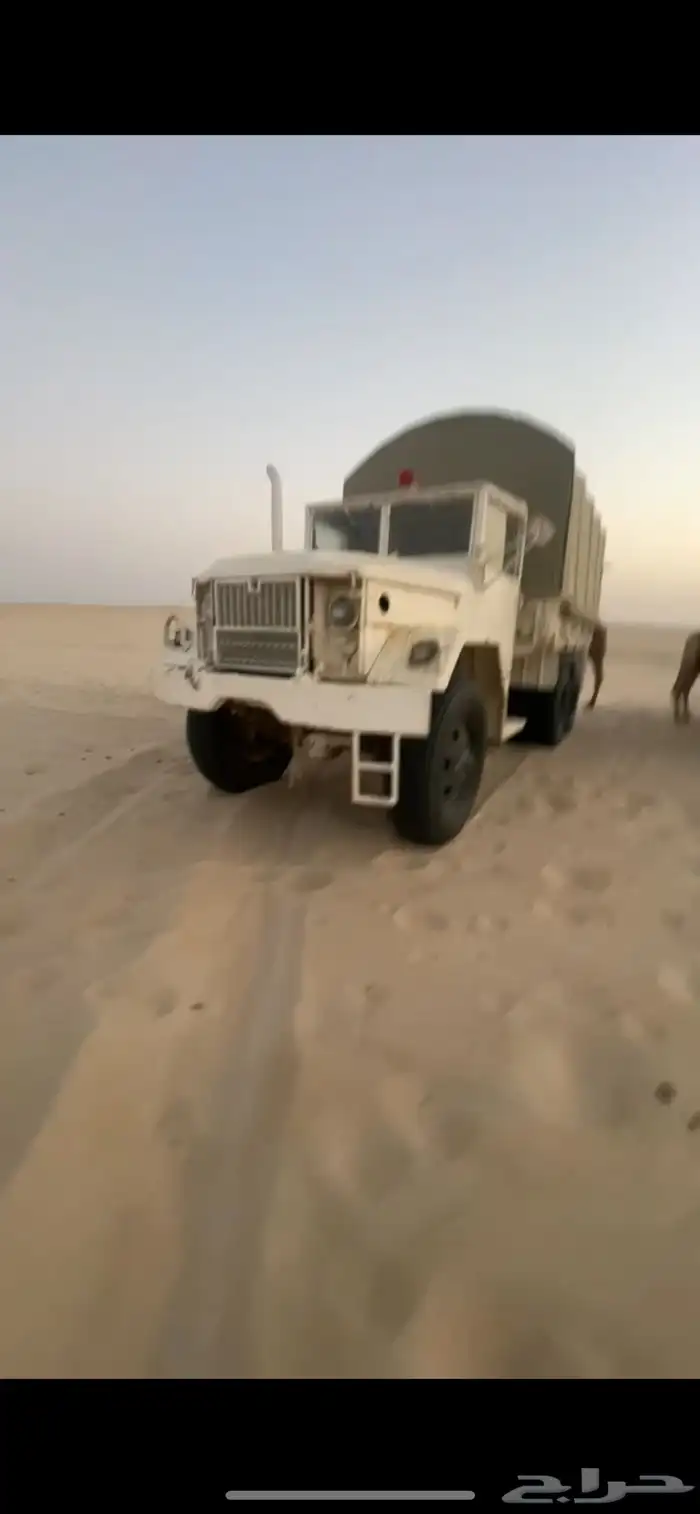 سقس رينو ريو لوري كارجو 0