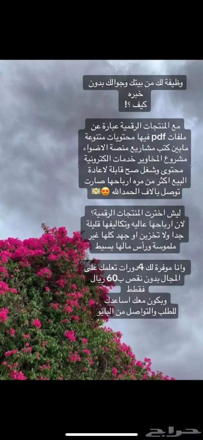 فرصة عمل ذهبية لك من جوالك بدون رأس مال 1