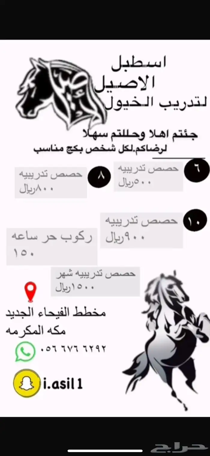 اصنع فارس المستقبل مع عروض مربط الأصيل المميزة 0