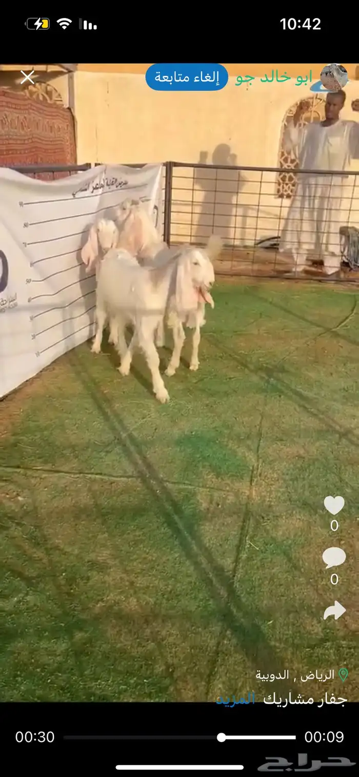 جفار مشاريك 0