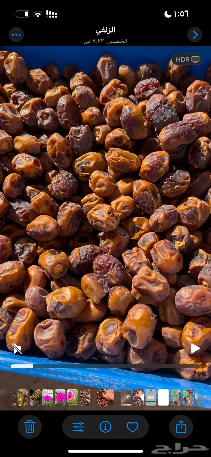 يتوفر انواع تمور 3