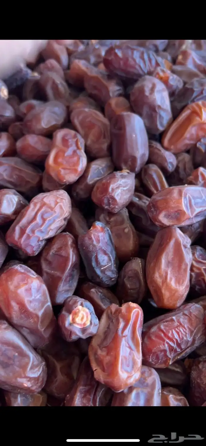يتوفر انواع تمور 0